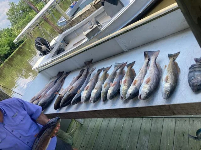 Fishing in Destin