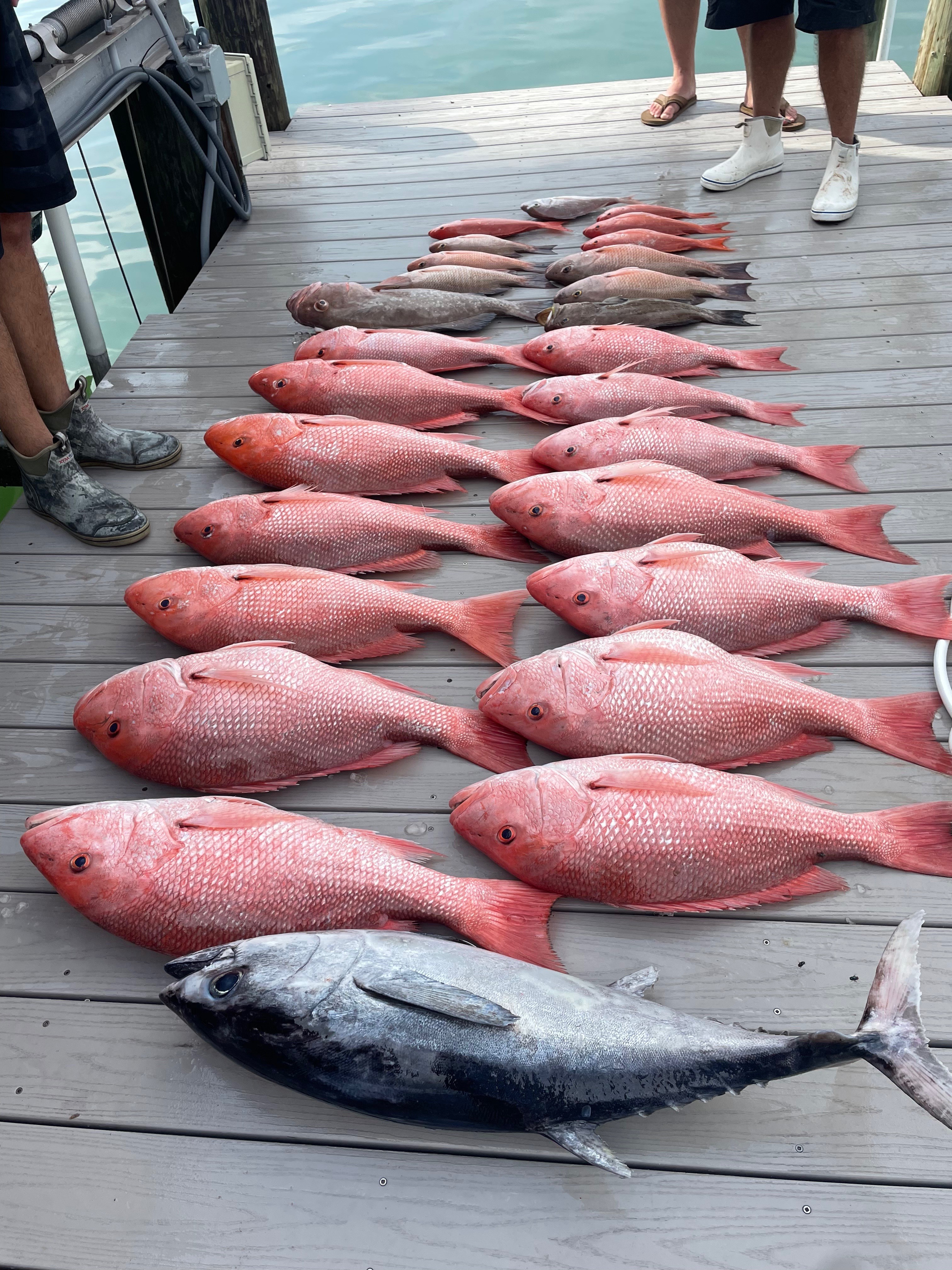 Fishing in Destin