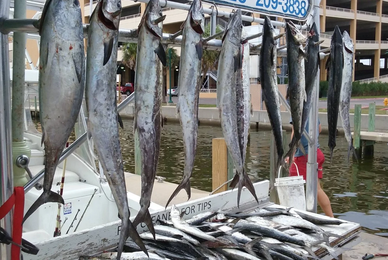 Fishing in Destin