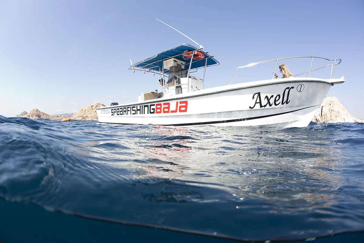 Spearfishing Baja California