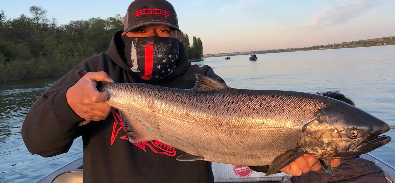 Salmon Trips