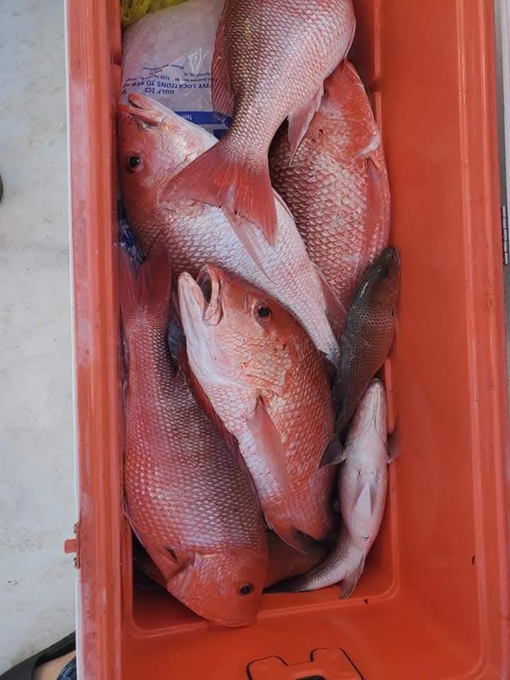 Fishing in Destin