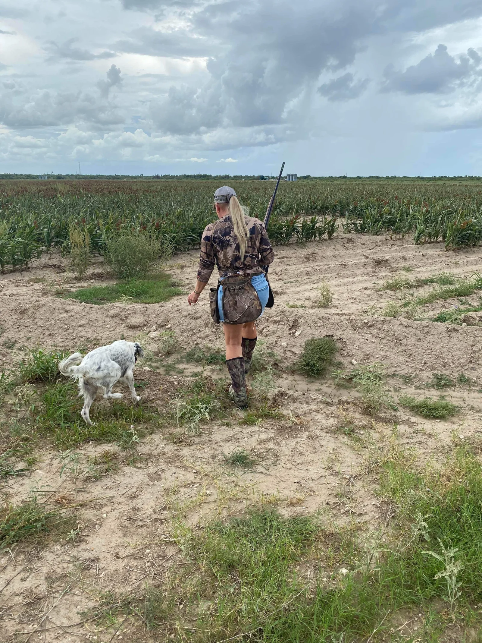 South Texas Doves and White Wings