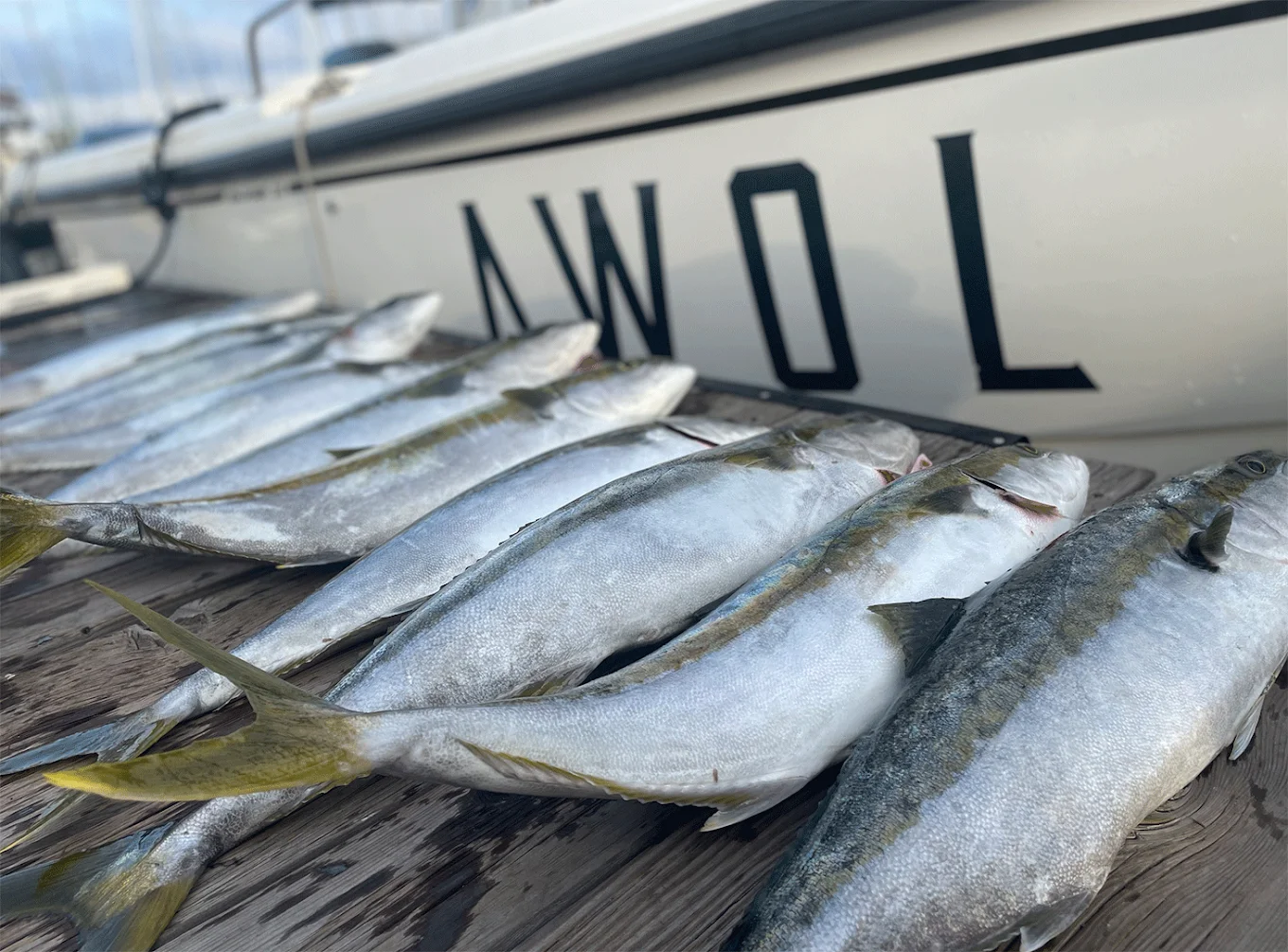 Fishing in Destin