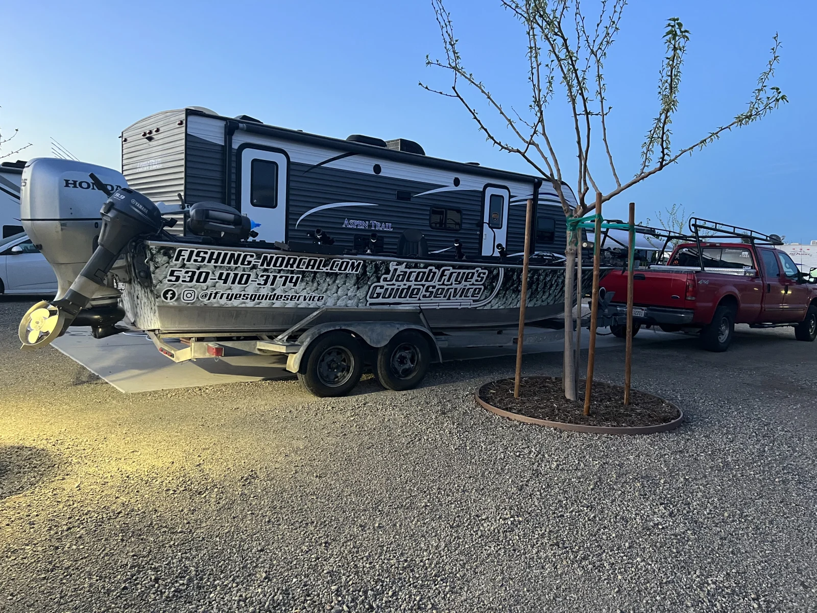 Sacramento River Striped Bass