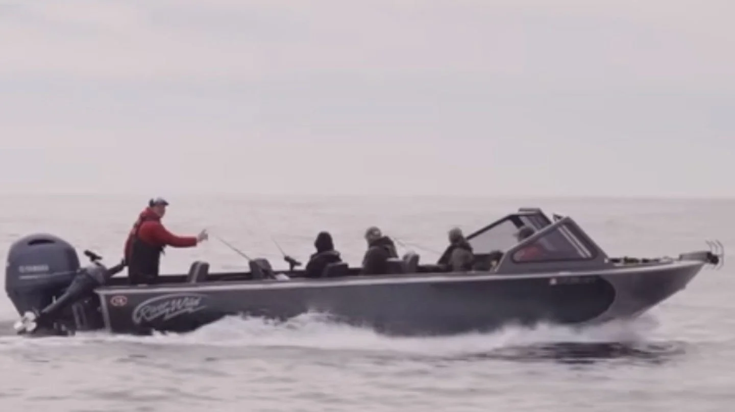 Columbia River Chinook Salmon