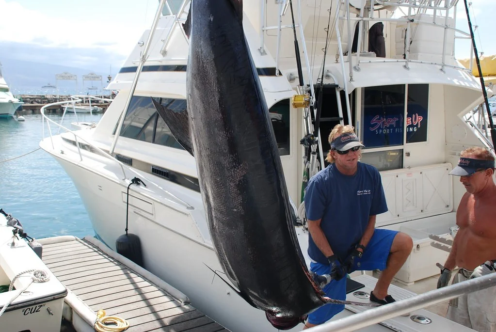 Afternoon Maui Sportfishing