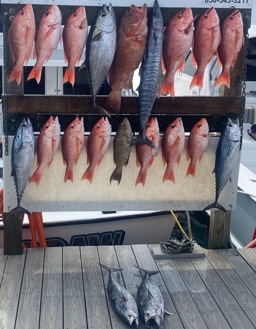 Fishing in Destin