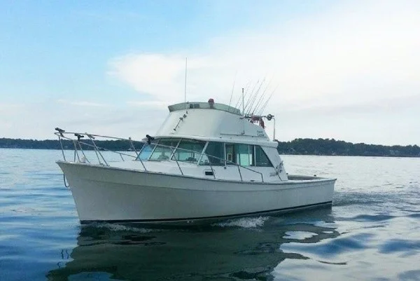 Late Erie Walleye and Perch