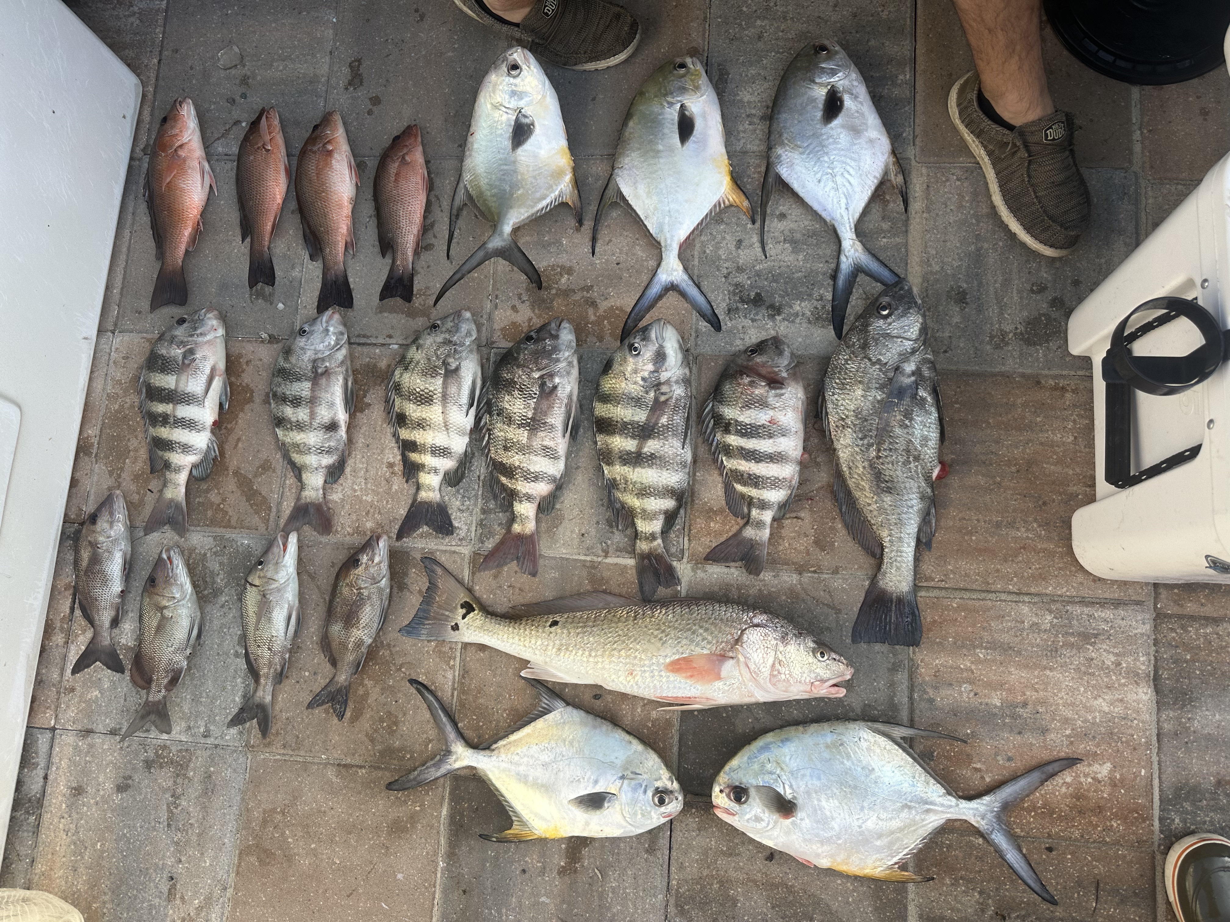 Fishing in Destin