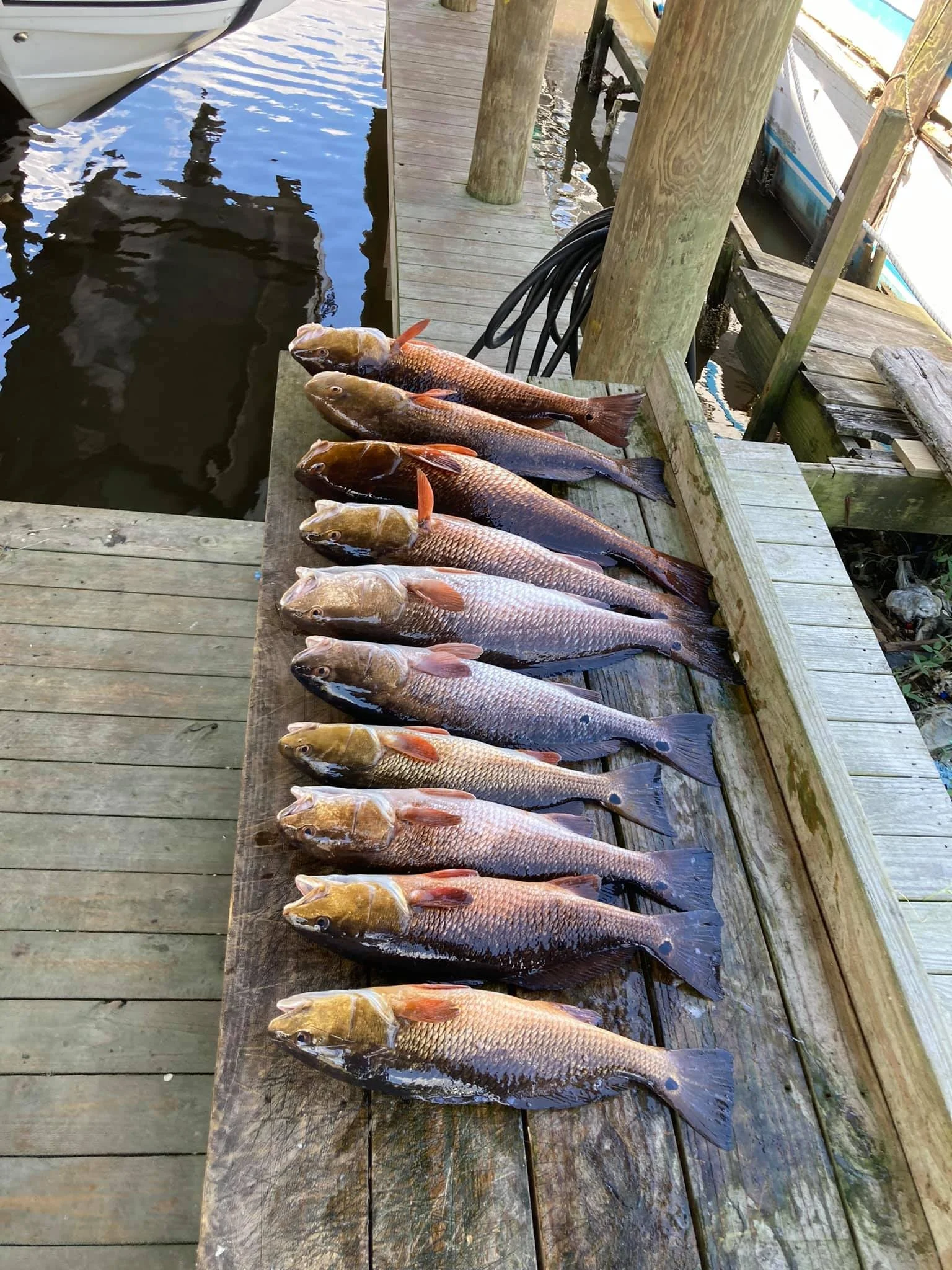 Fishing in Destin