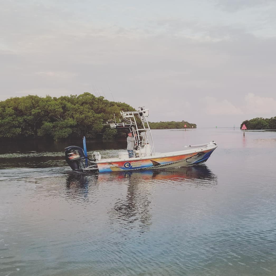 Tampa Bay Inshore Fishing