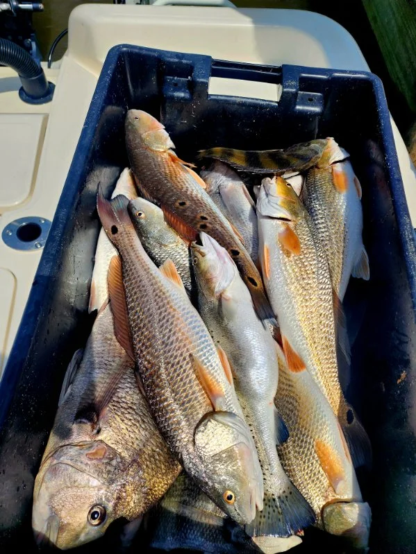 Fishing in Destin