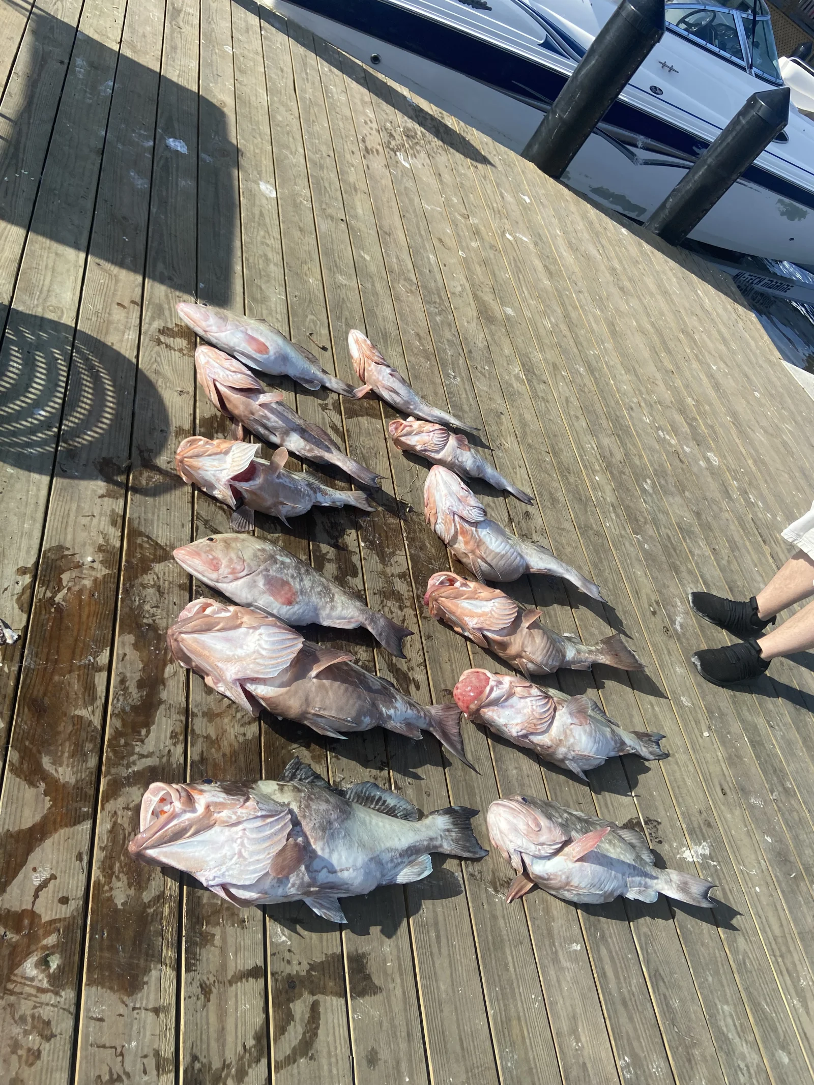 Fishing in Destin