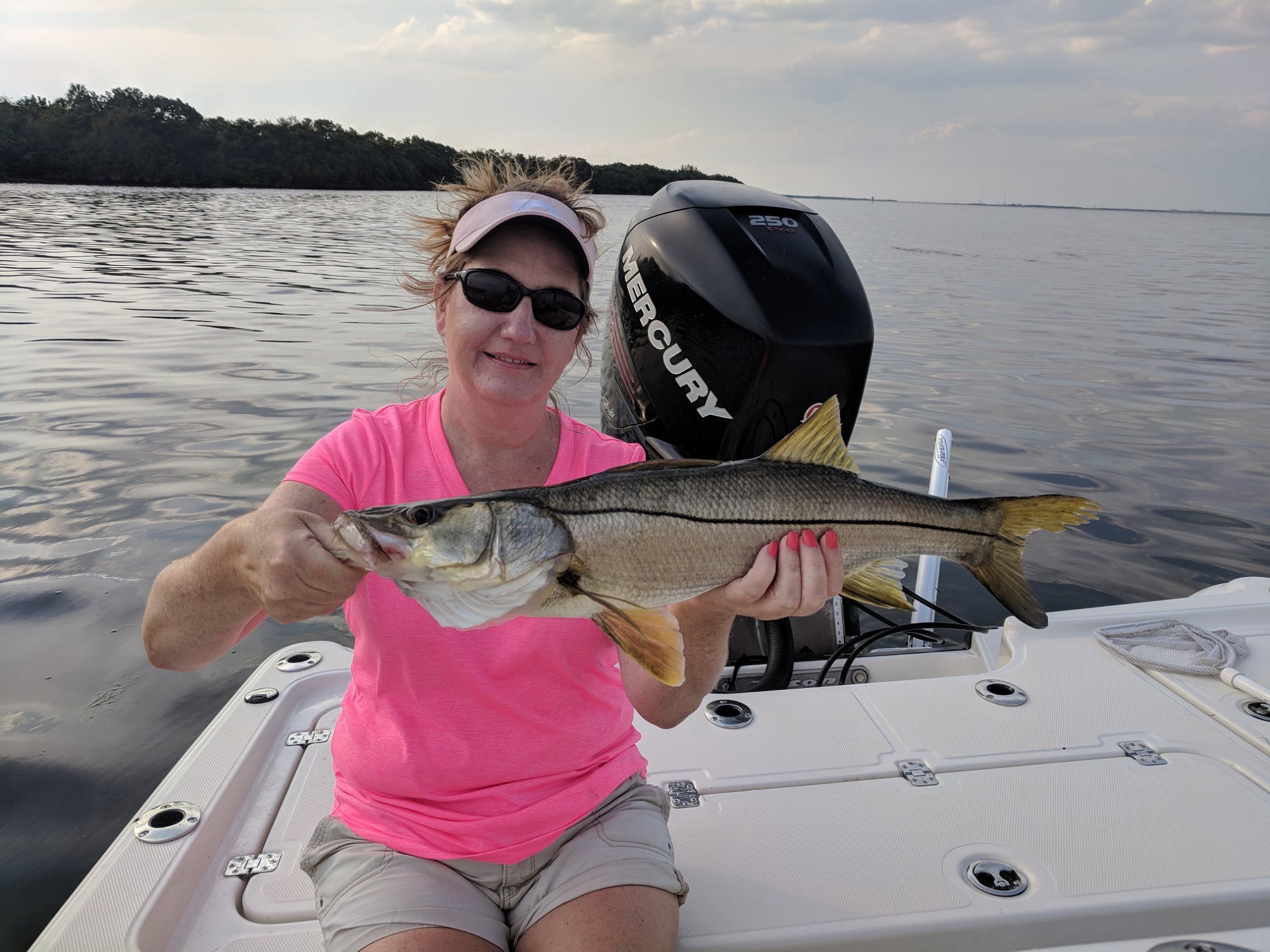Tarpon Springs Special