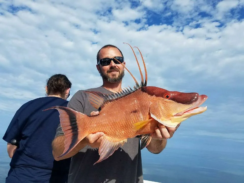 Fishing in Destin