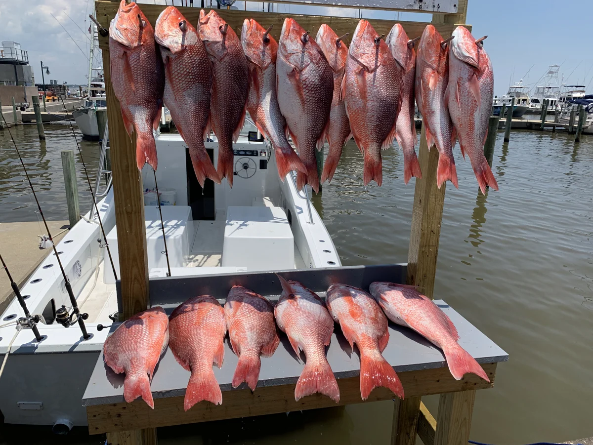 Fishing in Destin