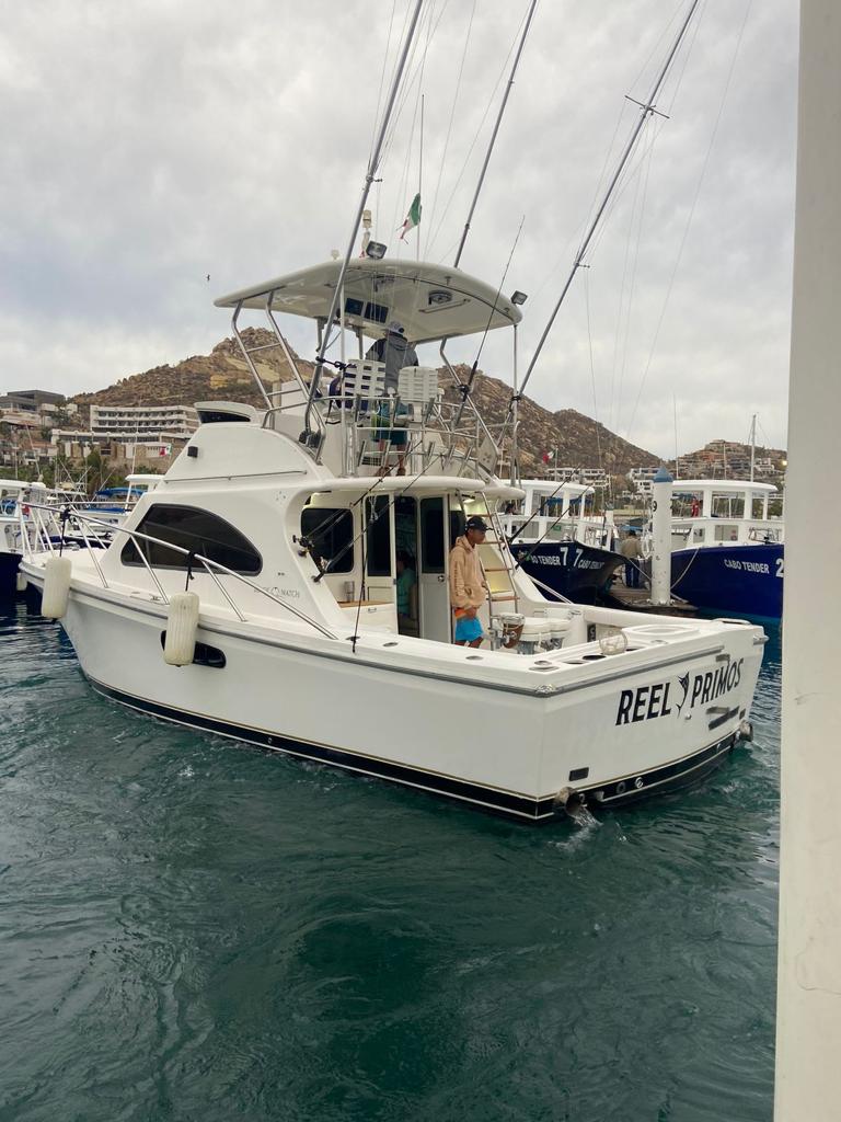 Cabo Offshore - 36'