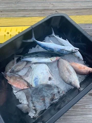 Fishing in Destin