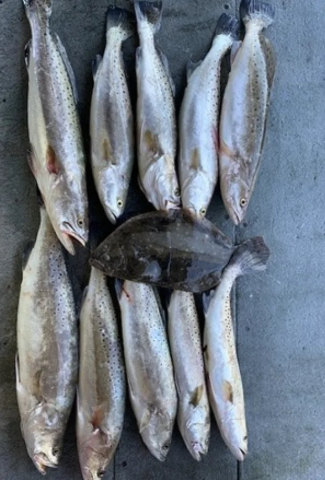 Corpus Bay Fishing Adventure