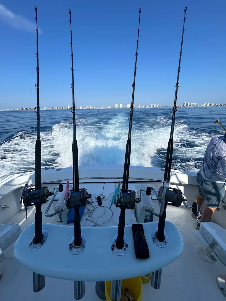 Big Game Shark Fishing