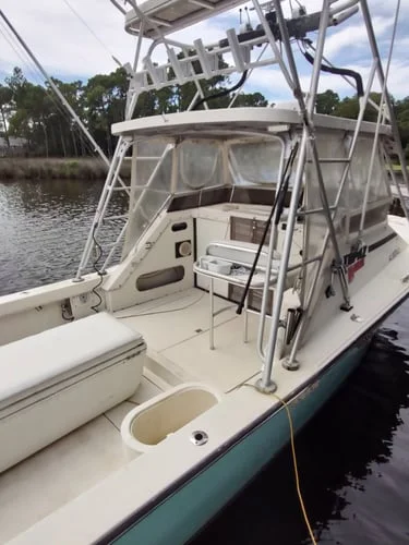 Federal Red Snapper Romp