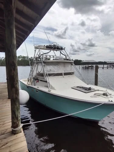 Federal Red Snapper Romp