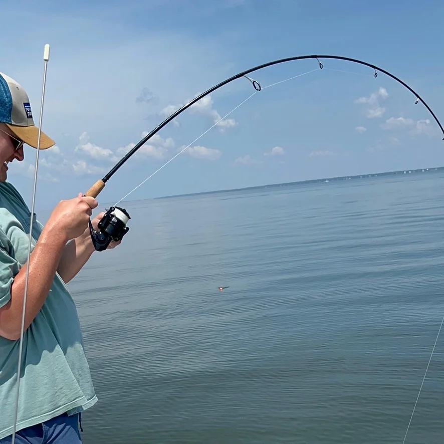 Inshore Fishing in Apalachicola, FL (half day)