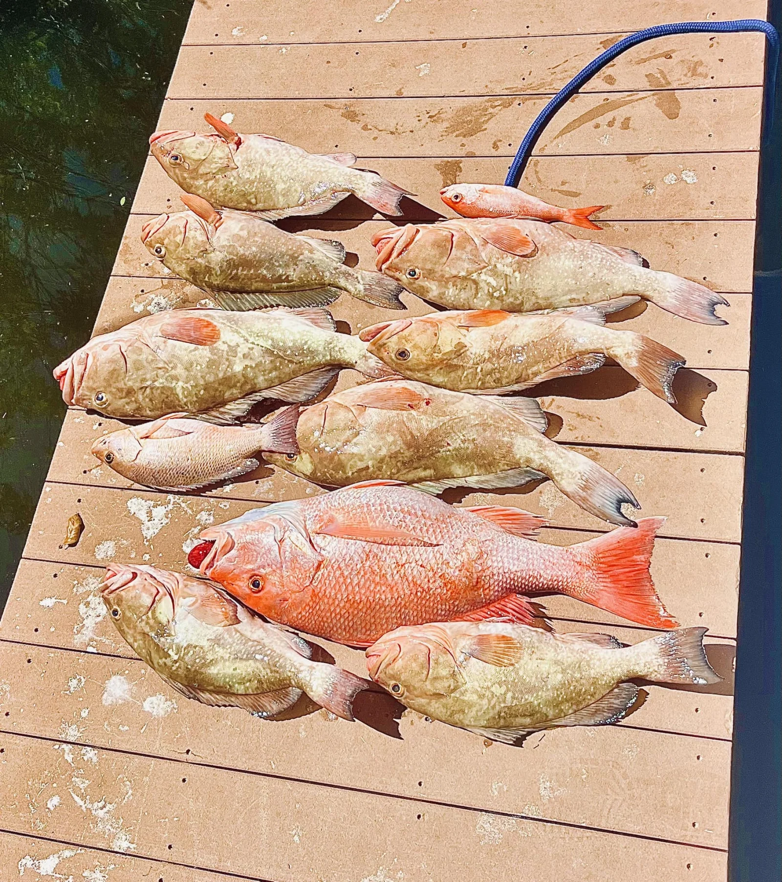Fishing in Destin