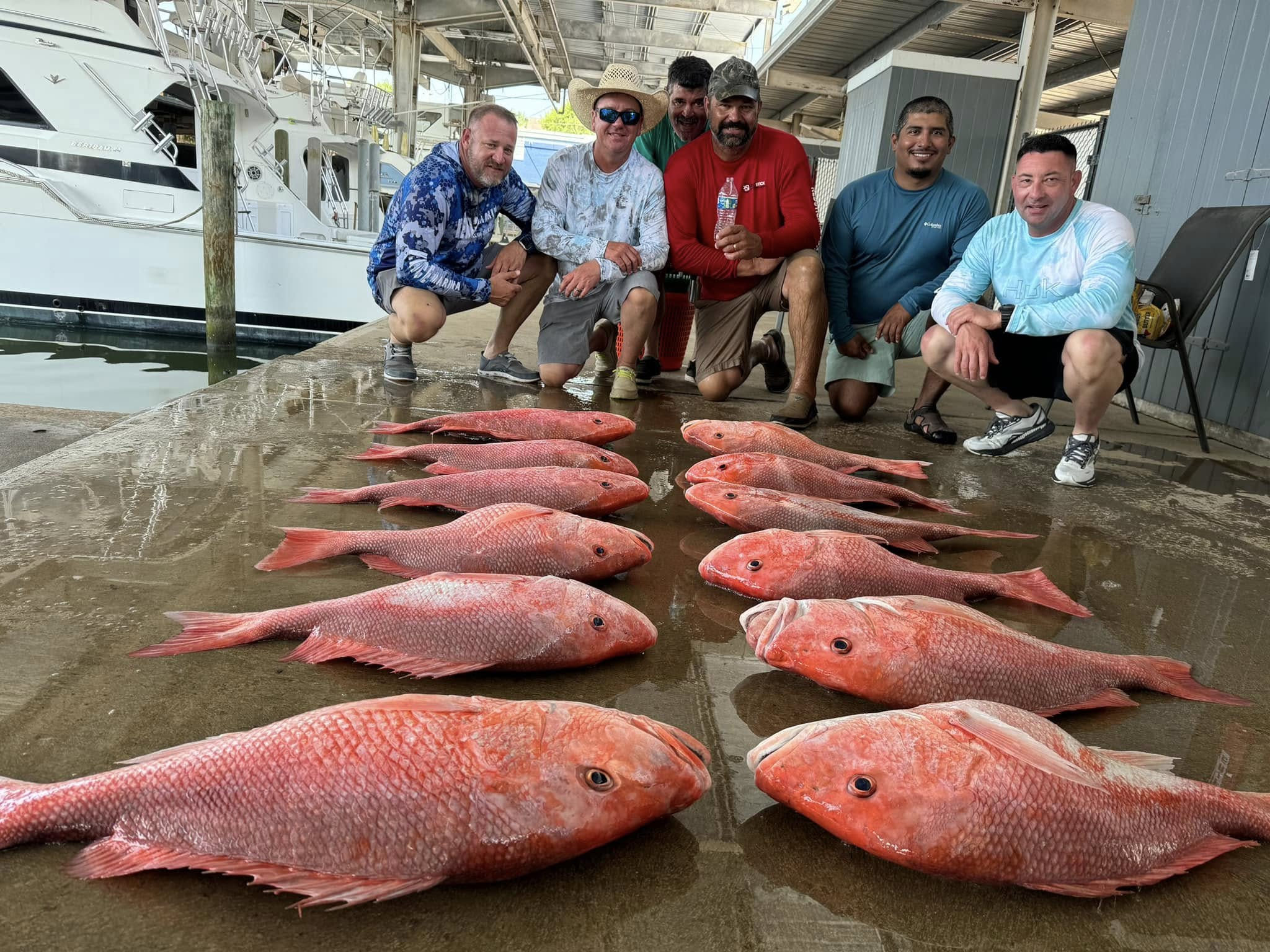 Luxury Snapper Fishing