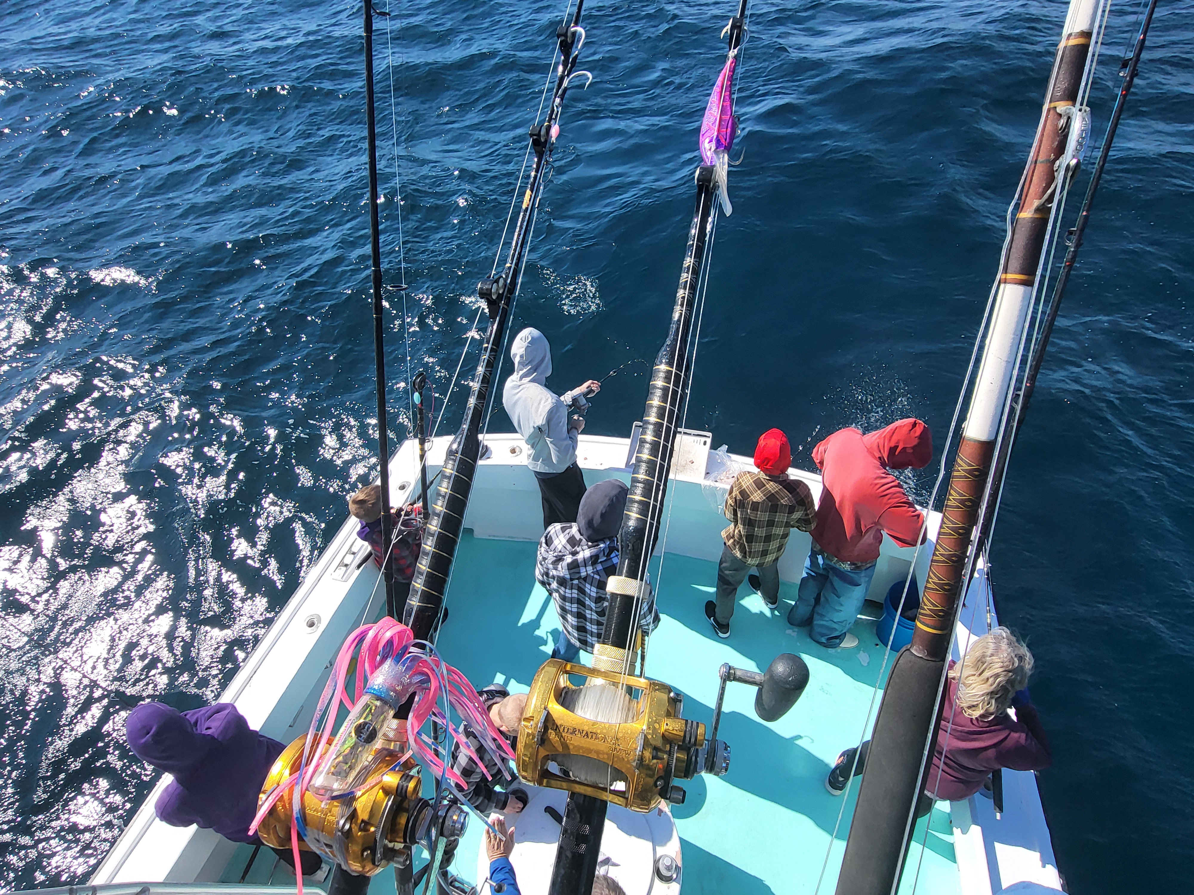 Fishing in Destin