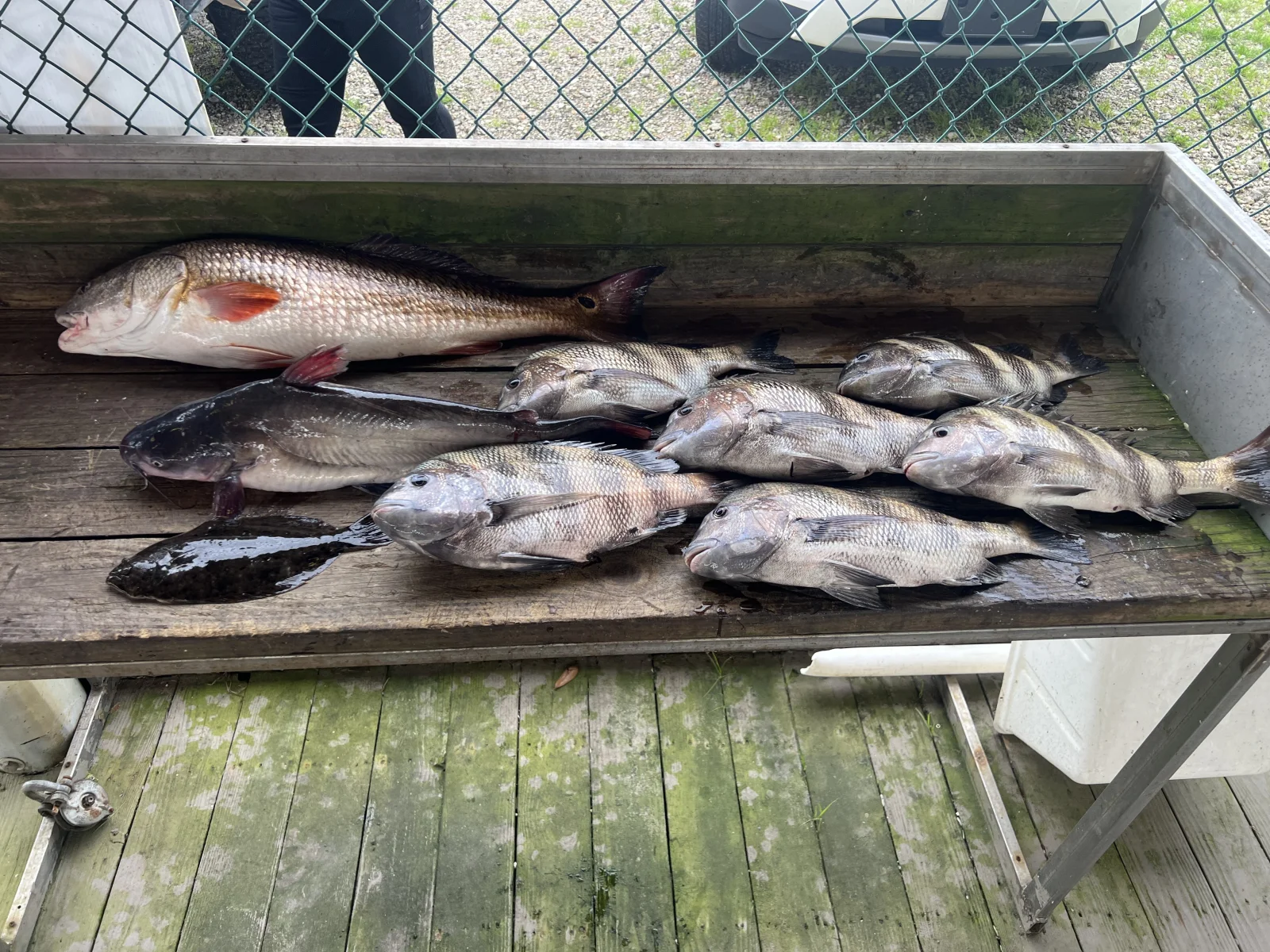 Fishing in Destin