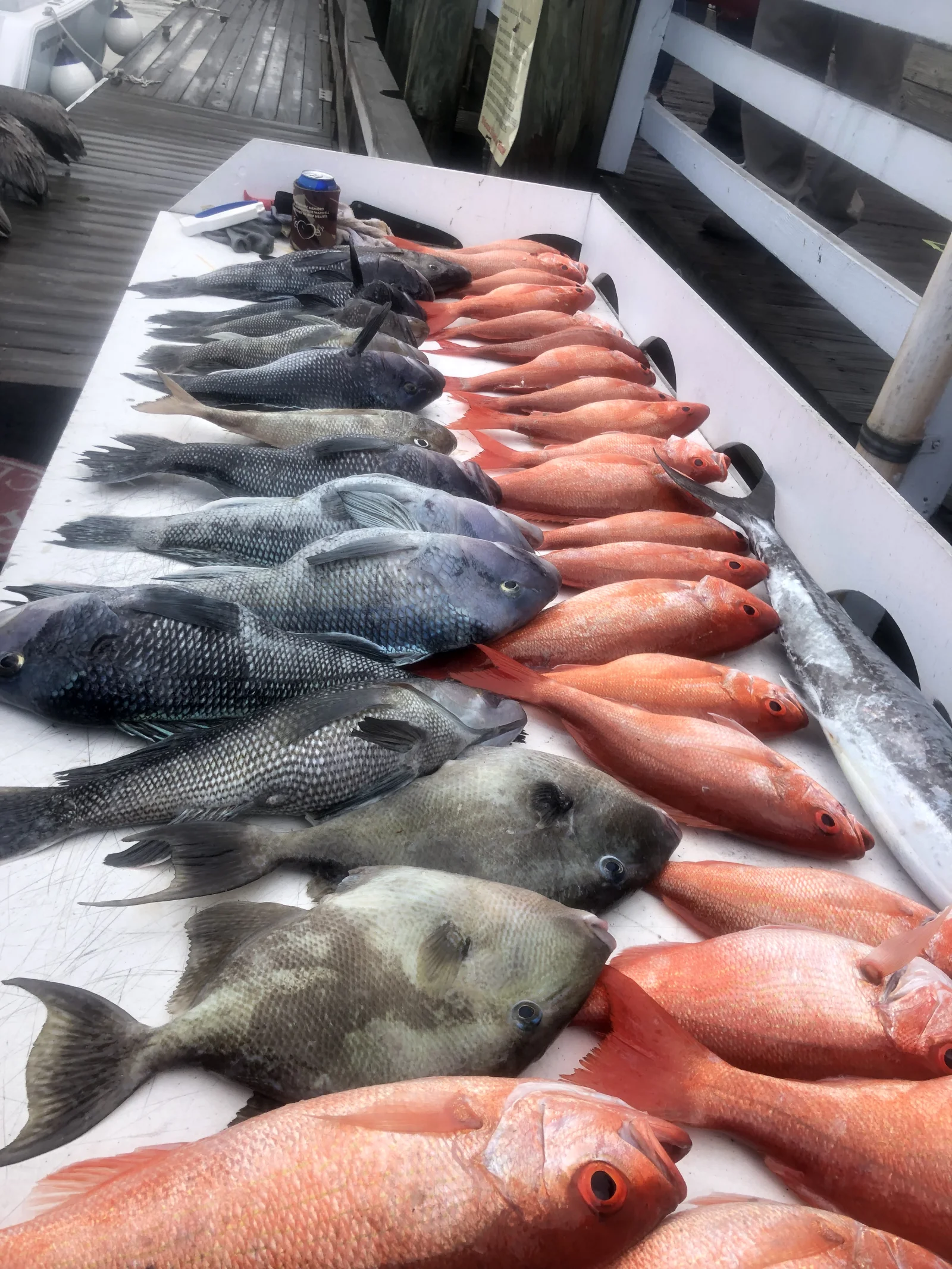 Fishing in Destin