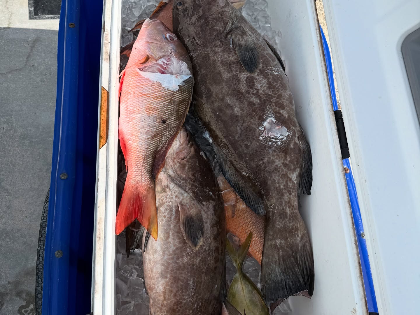 Islamorada Reefs