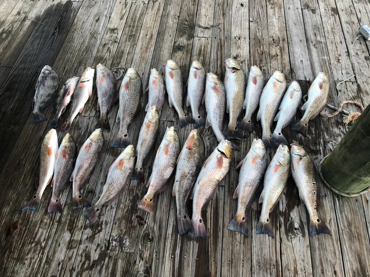 Fishing in Destin