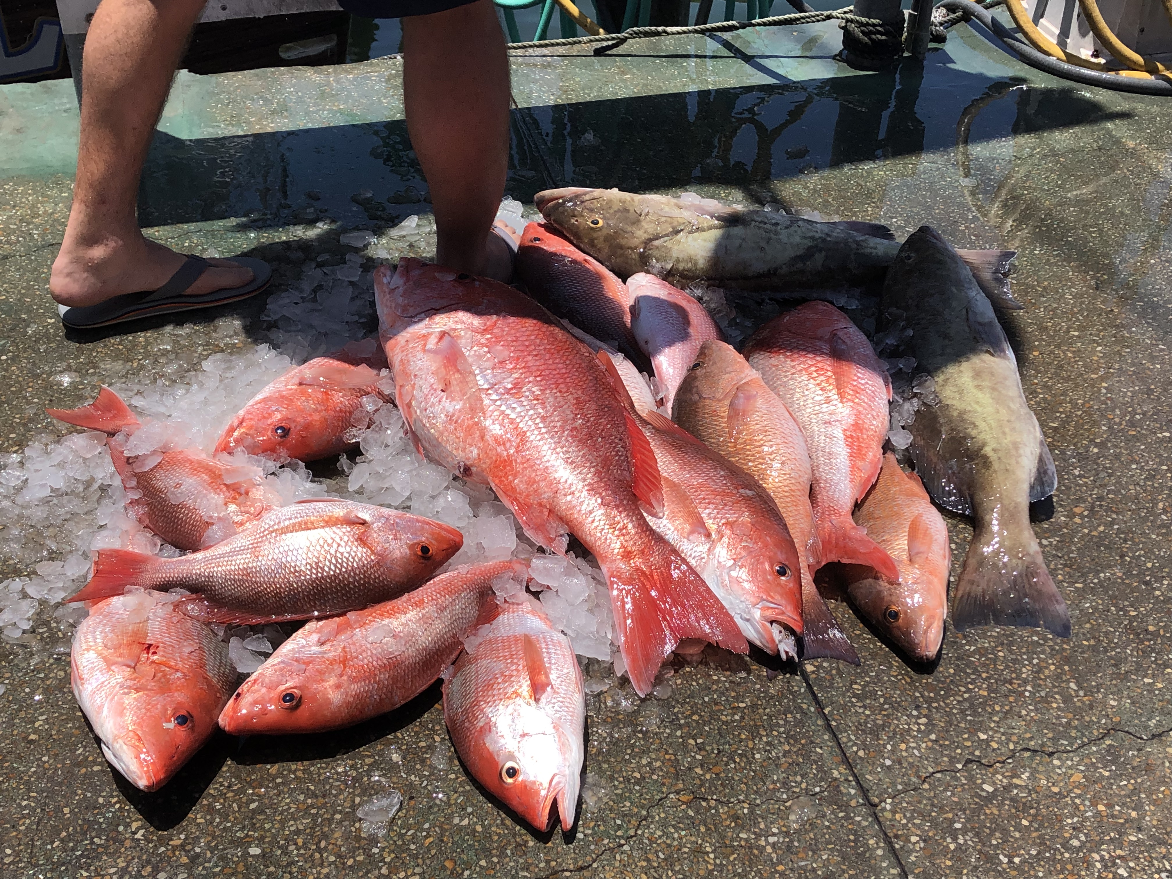 Fishing in Destin