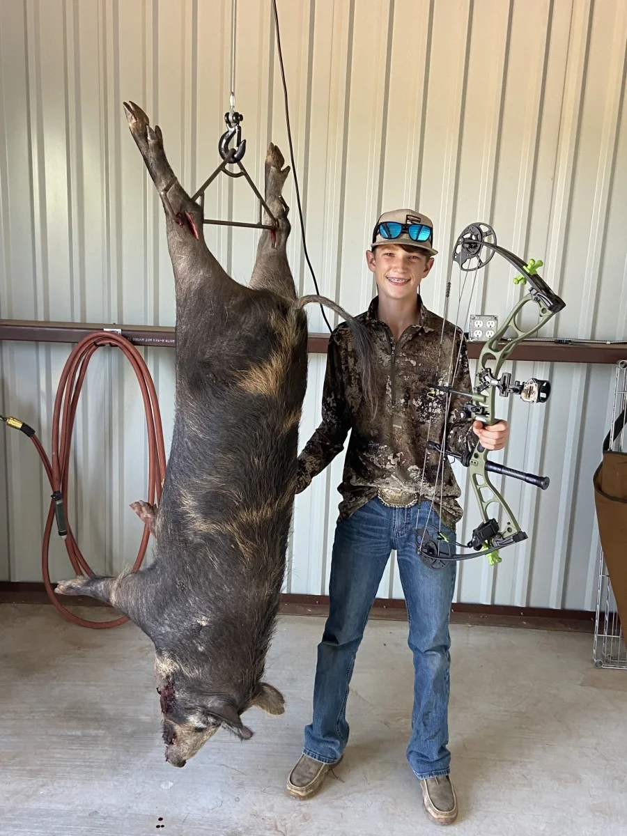Hog Hunt