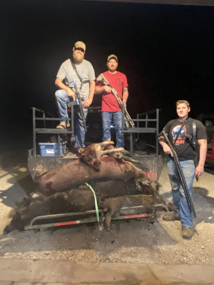 Hog Hunt