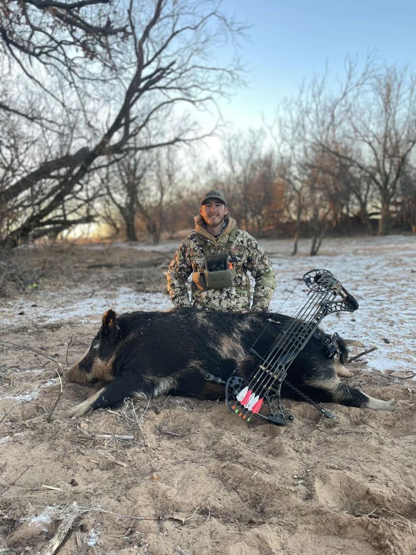 Hog Hunt