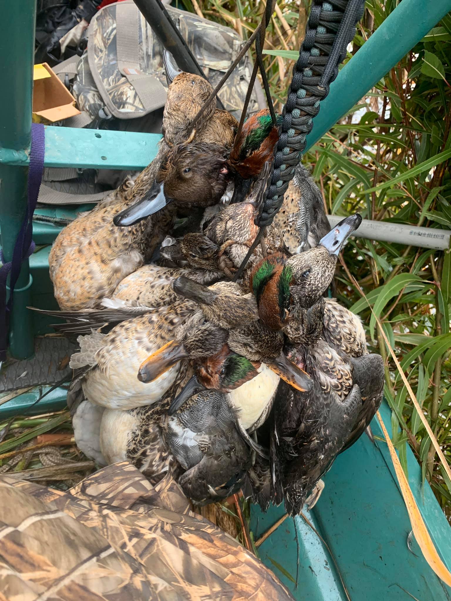 Sportsman Paradise Overnight Ducks