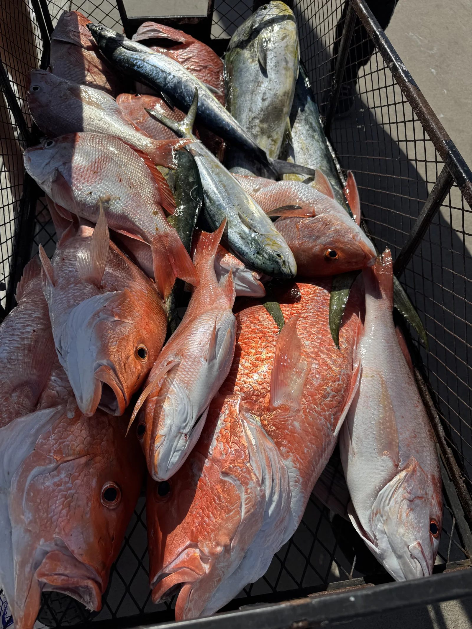 Fishing in Destin