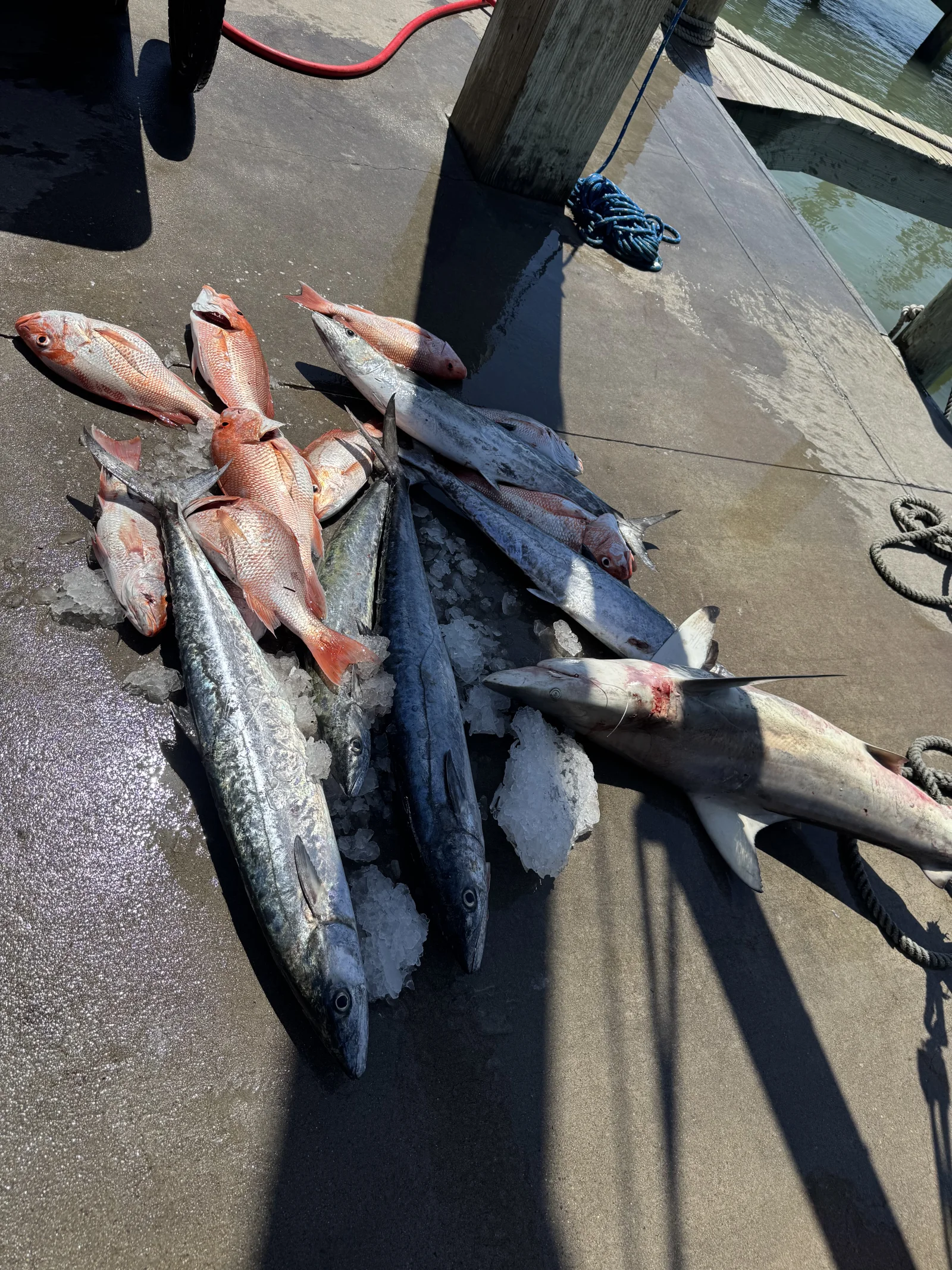 Fishing in Destin