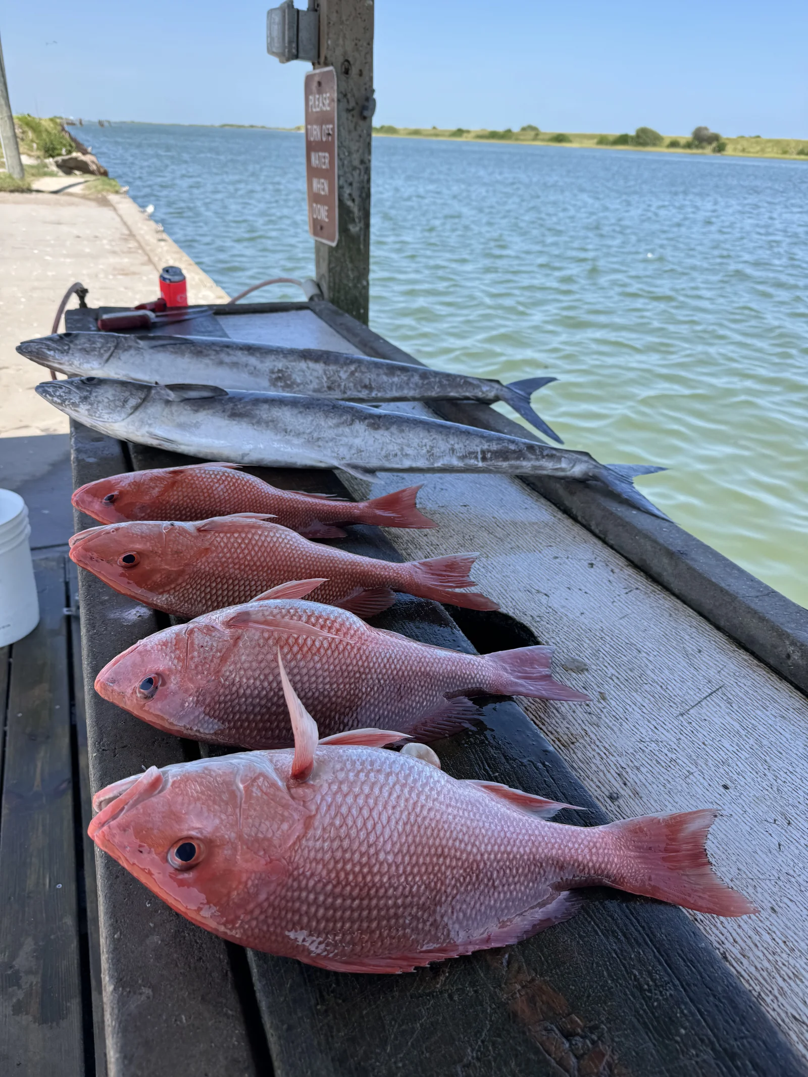 Fishing in Destin