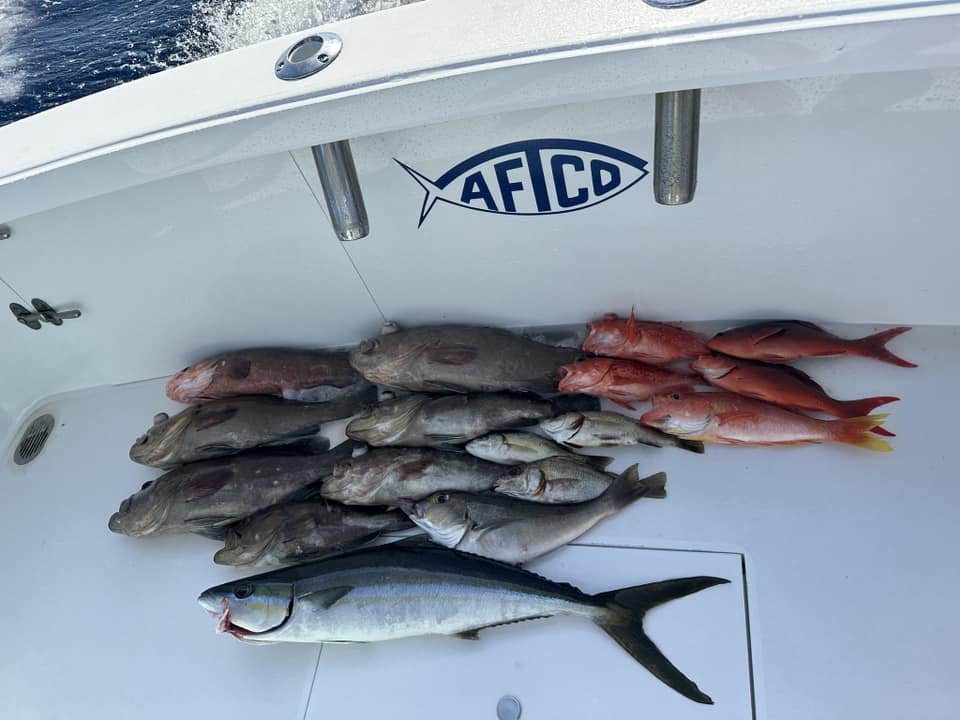 Fishing in Destin