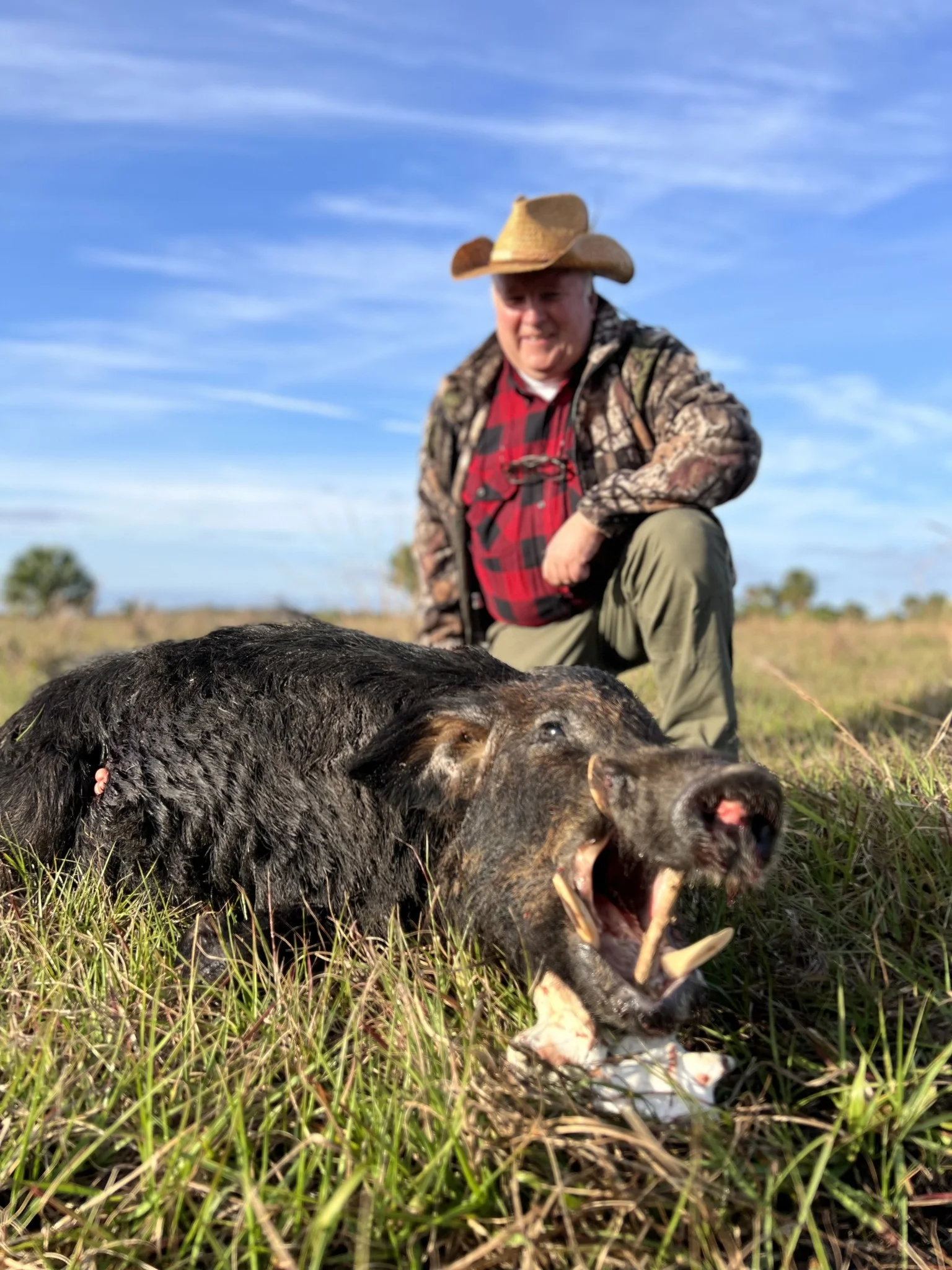 Do it Yourself Hog Hunts