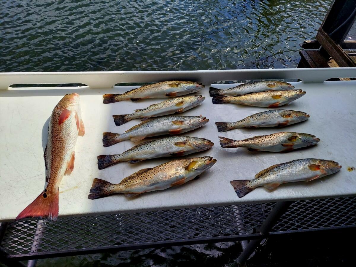 Fishing in Destin