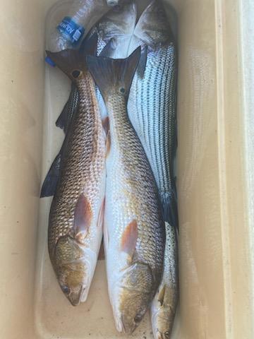 Blackwater Bay Fishing
