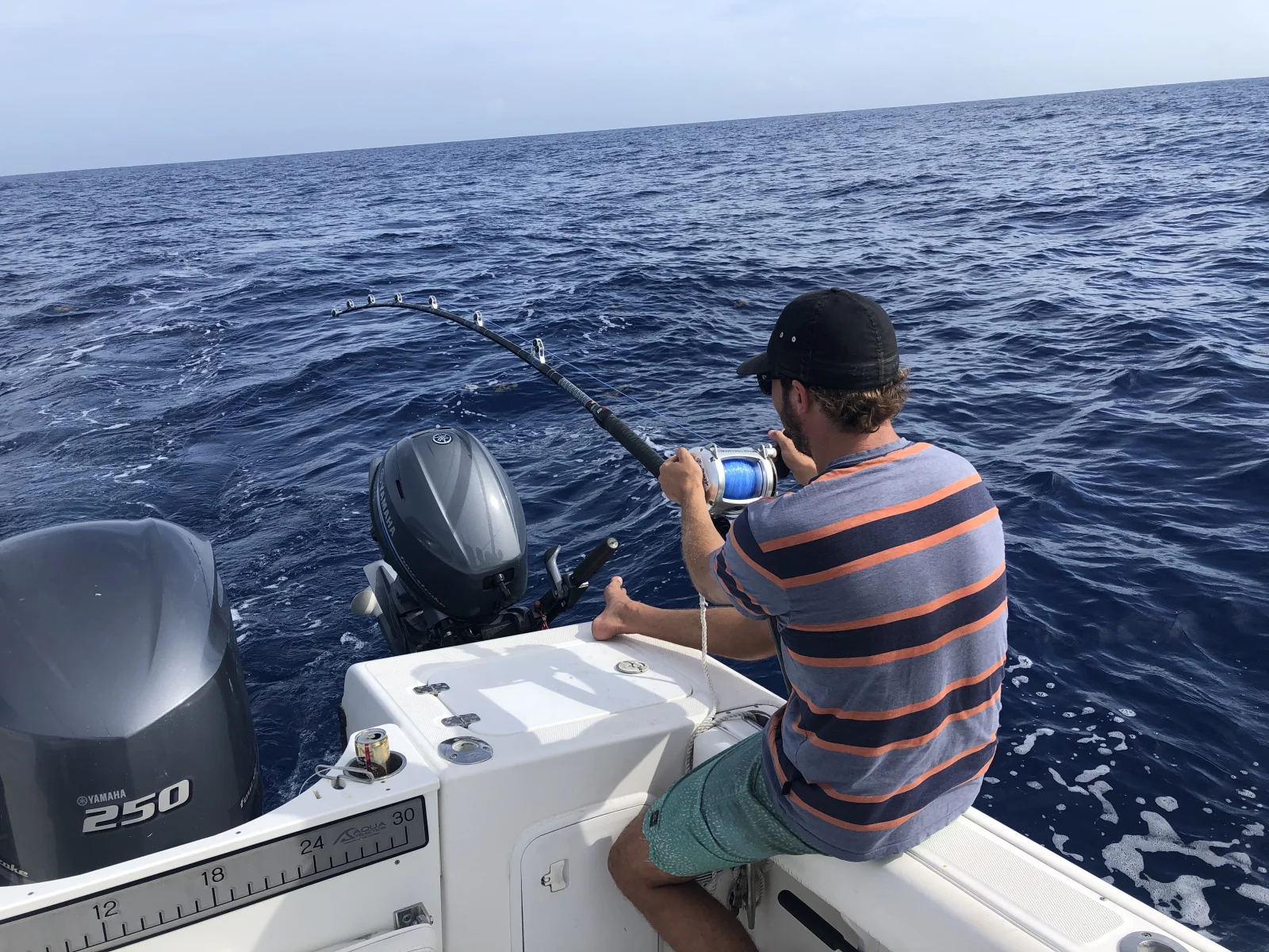 Rincon Blue Marlin Fishing