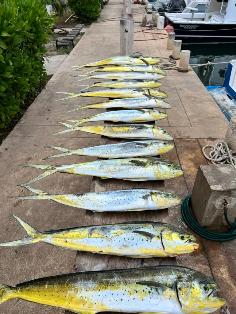 TULUM FISHING PREMIUM ADVENTURE