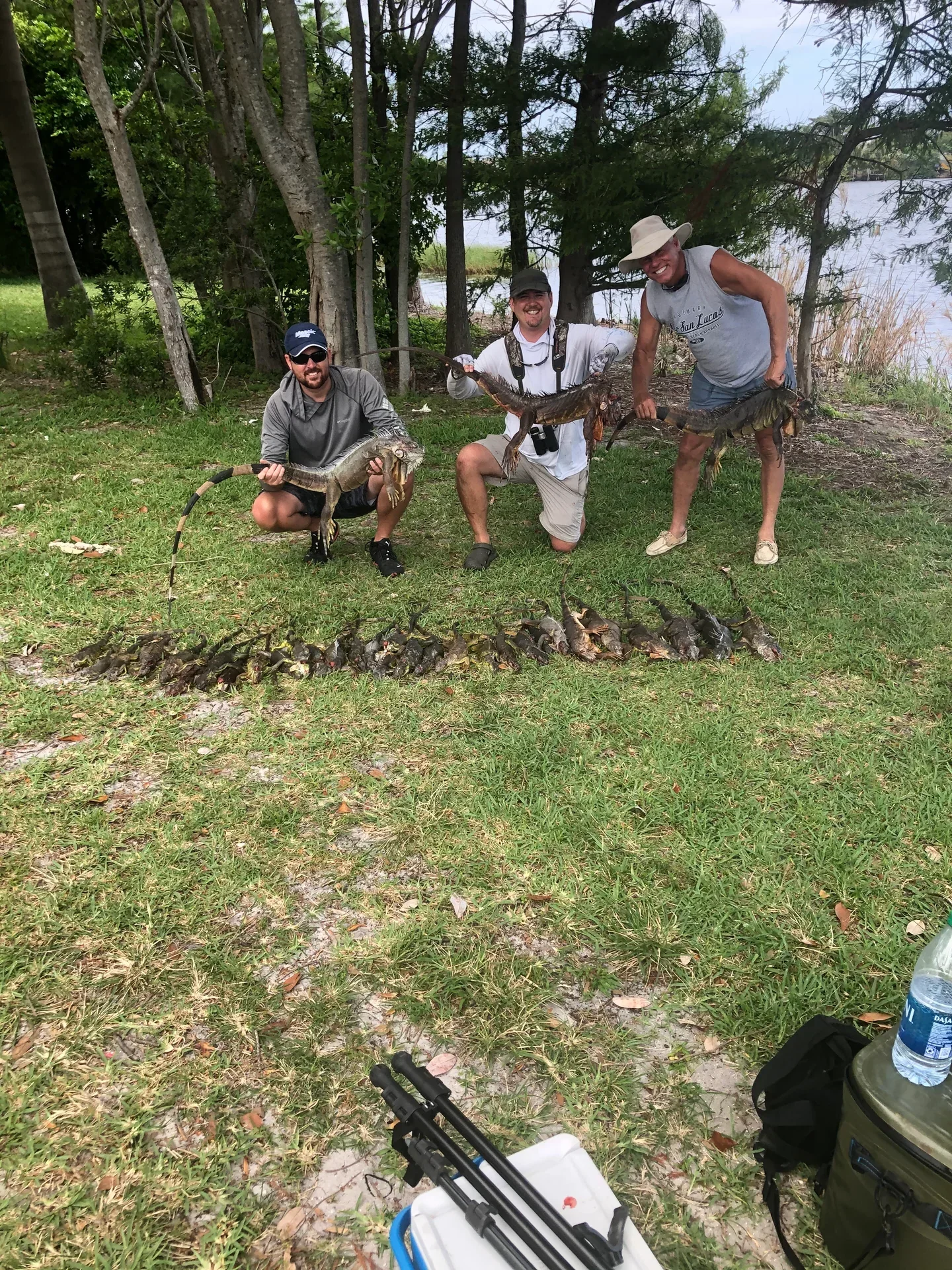 Iguana Hunts Delray Beach